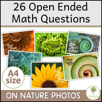 Preview of Open ended Math Questions | Reggio Nature Prompts for Hands on Math Provocations