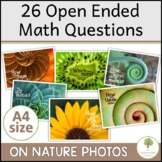 Open ended Math Questions | Reggio Nature Prompts for Hand