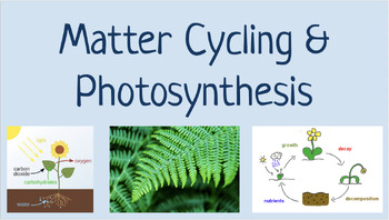 Preview of OpenSciEd 7.4 Matter Cycling & Photosynthesis Vocabulary