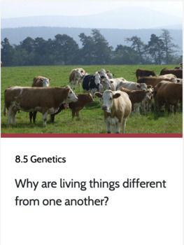 Preview of OpenSciEd 8.5 Genetics Learning Goals (LG- I Understand...)