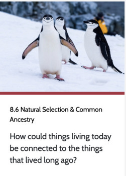 Preview of OpenSciEd 8.6 Natural Selection & Common Ancestry Learning Goals (I Understand)