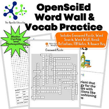 Preview of OpenSciEd Matter Cycling Word Wall & Vocabulary Activities - Absent Work