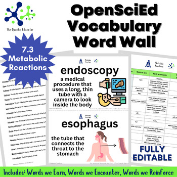 Preview of OpenSciEd Metabolic Reactions Vocabulary Word Wall 7.3