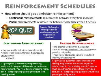 Preview of Operant Conditioning Schedules of Reinforcement PowerPoint
