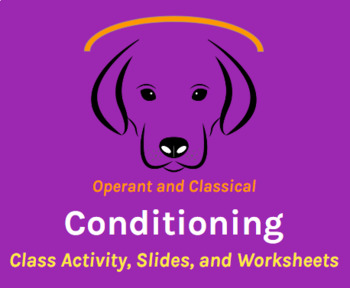 Preview of Operant and Classical Conditioning (Slides, Class Activity, Worksheets, Videos)