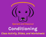 Operant and Classical Conditioning (Slides, Class Activity