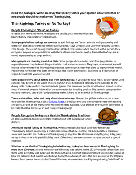 essay about turkey