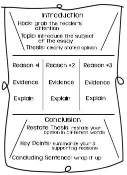 opinion paragraph structure