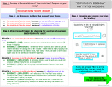 Opinion & Persuasive Essay Guide and Model