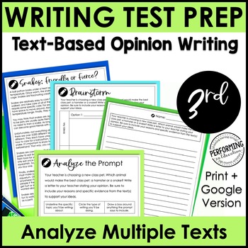 Preview of Opinion Test Prep | Text-Dependent Opinion | Text-Based Writing | 3rd Grade