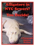 Opinion Writing - Alligators in NYC Sewers?    (3 Paragrap