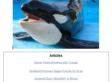 Opinion Writing: Calkins Orca Whales Debatable Topic Hyperdoc