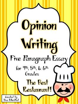 what is an opinion essay