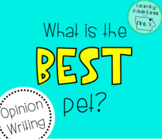 Opinion Writing Project - The Best Pet
