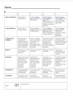 Preview of Opinion Writing Rubric