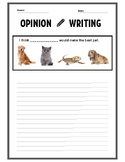 Opinion Writing: The Best Pet