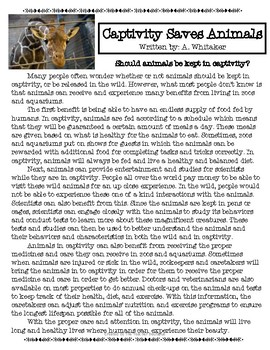 essay on should animals be kept in captivity
