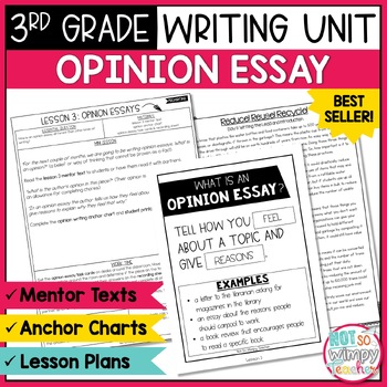 persuasive essay writing unit