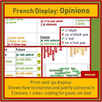 Preview of Opinions French wall display