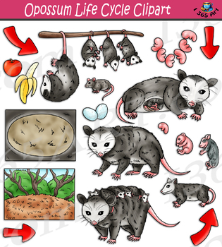 Animal Tracks Clip Art Set