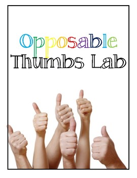 Preview of Opposable Thumb Adaptation Lab