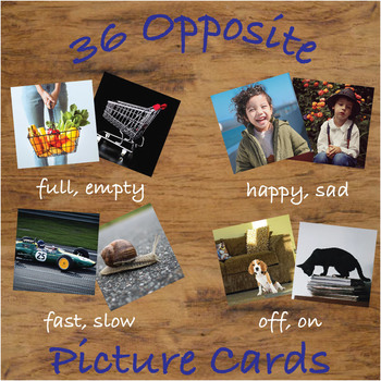 Preview of Opposite Picture Cards with Real Photos