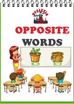 Preview of Opposite Words - Flash Cards