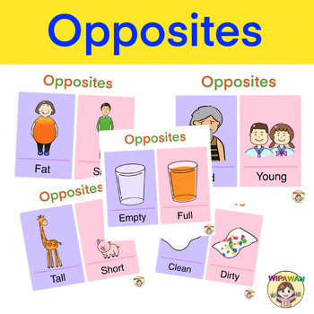 Bilingual Italian/English opposites flashcards .23 pairs .6 pages .