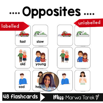 Autism and Speech Therapy Adults Perfect for Kids Children Adjectives and Opposites Flashcards for Language Learning Set 2 