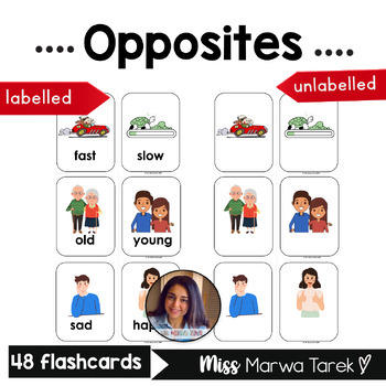 Bilingual Italian/English opposites flashcards .23 pairs .6 pages .