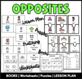 Opposites Antonyms Book Puzzles Game Worksheets