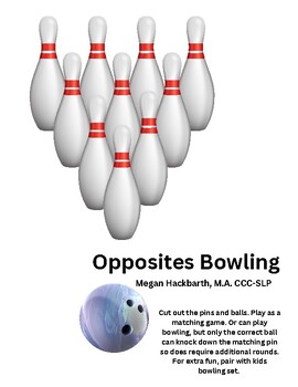 Preview of Opposites Bowling Activity/Game