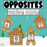 Opposites Matching Activity - Hands on Opposites Activity 