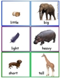 Opposites and Descriptive Words (for Kindergarten vocabula