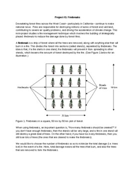 Preview of Optimization Mini-Projects (Calculus)