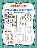 Opuestos - Opposites in Spanish