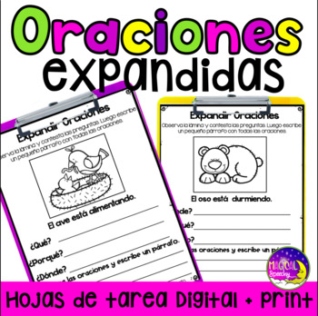 spanish sentence worksheets teaching resources tpt