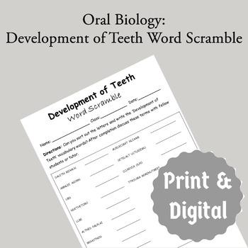 Preview of Oral Biology: Development of Teeth Word Scramble Game