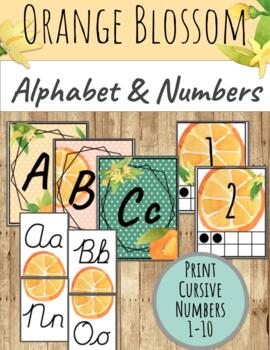 Preview of Orange Blossom Classroom Decor: EDITABLE ALPHABET AND NUMBER POSTERS