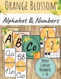 Orange Blossom Classroom Decor: EDITABLE ALPHABET AND NUMB