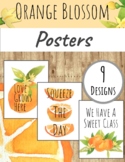 Orange Blossom Classroom Decor: CLASSROOM POSTERS