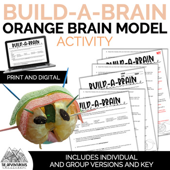 Preview of Build-A-Brain: Orange Brain Model Activity
