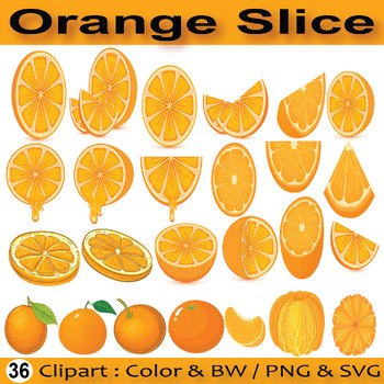 Orange Slice Clipart - Orange Citrus Fruits Clipart (SVG ,PNG ...