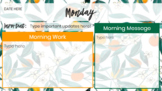 Oranges Daily Slides Template