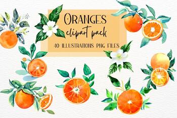 Oranges Illustration, Orange Flowers, Watercolor Tangerine Clipart