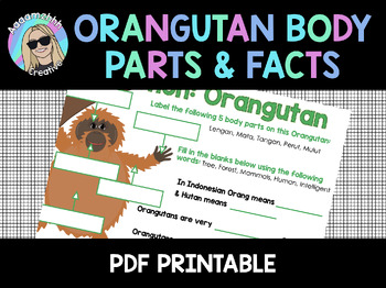 Preview of Orangutan Indonesian Animal Body Parts & Facts Fill in The Blank