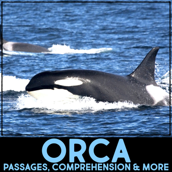 Preview of Orca - Killer Whale Animal Research Nonfiction Reading Passage & Comprehension