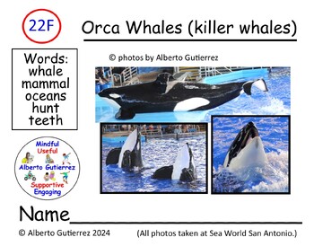 Preview of Orca Whales (Killer Whales) #22F