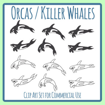 killer whales clipart