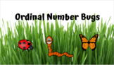 Ordinal Number Bugs SLIDES ACTIVITY